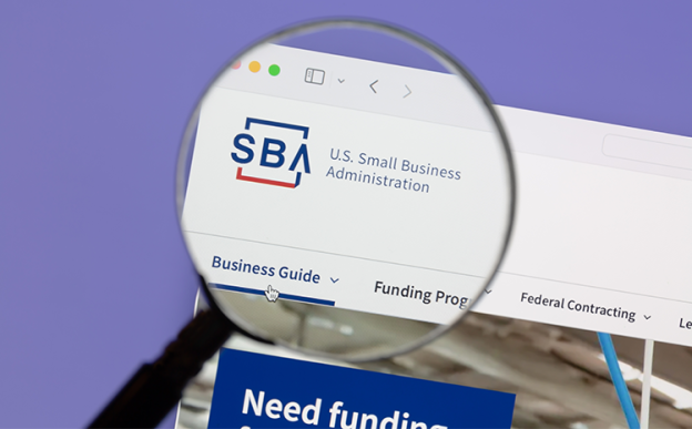 SBA Loan System