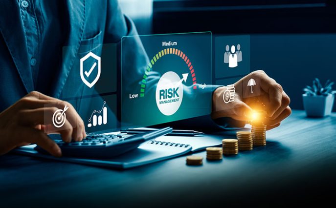 Risk assessment software