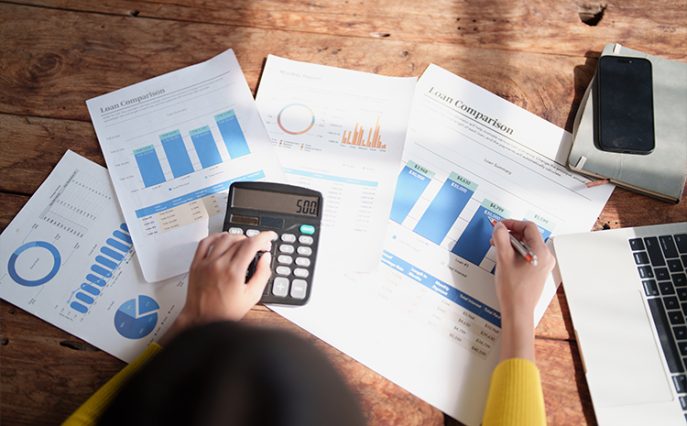 Software for SBA loans